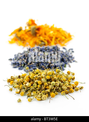 Pile di erbe officinali essiccate, camomilla, lavanda e calendula su sfondo bianco Foto Stock