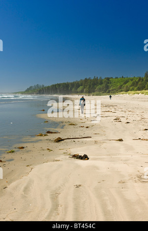 Gli escursionisti a piedi sulla lunga spiaggia in Pacific Rim National Park, Canada Foto Stock