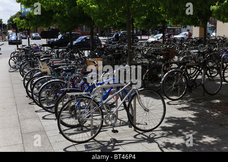 Biciclette parcheggiate nel centro di Oxford, Oxfordshire, Regno Unito Foto Stock