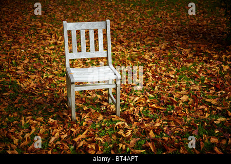 Giardino autunnale paesaggi durante con una sola sedia in teak abbandonato su foglie di castagno. Foto Stock