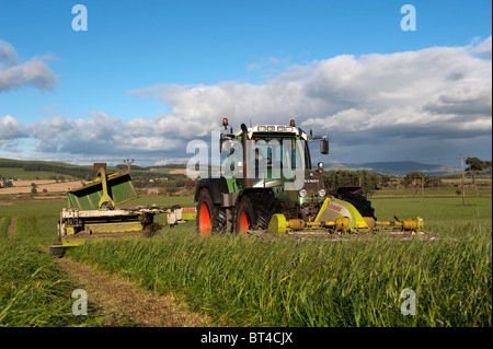 Secondo la falciatura di erba tagliata con falciacondizionatrici montate anteriormente e posteriore su un trattore Fendt. Foto Stock