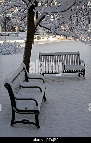 Doppia in ferro battuto panca con armi nella neve profonda al parco della Cattedrale di Santa Fe New Mexico Foto Stock