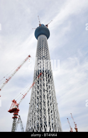 Tokyo Sky Tree, Tokyo, Giappone Foto Stock