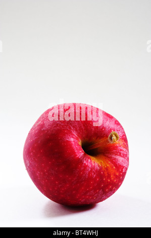 Un rosso brillante Royal Gala Apple su uno sfondo bianco. Foto Stock