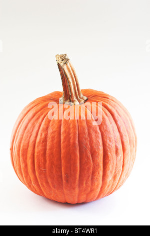 Mature arancione zucca torta su uno sfondo bianco. Foto Stock