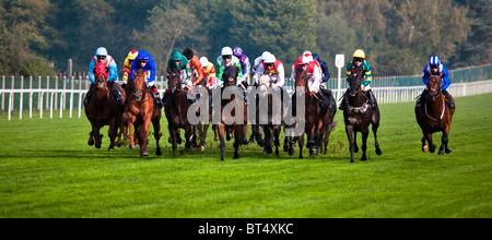 Corse di cavalli a Ascot, Berkshire, Inghilterra. Regno Unito. GB Foto Stock