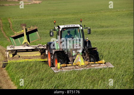 Secondo la falciatura di erba tagliata con falciacondizionatrici montate anteriormente e posteriore su un trattore Fendt. Foto Stock