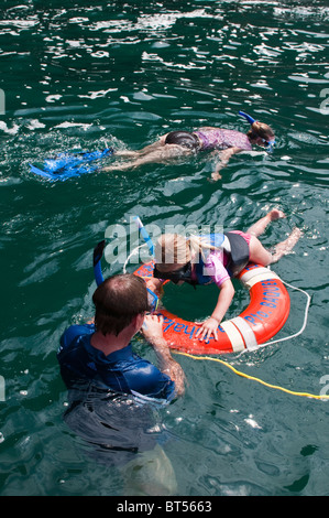 Isole Galapagos, Ecuador. Lo snorkeling a Vincente Roca punto su Isla Isabela (isabela Island). Foto Stock