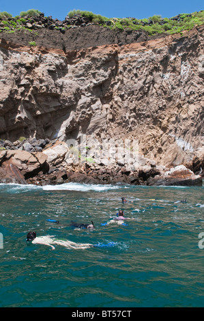 Isole Galapagos, Ecuador. Lo snorkeling a Vincente Roca punto su Isla Isabela (isabela Island). Foto Stock