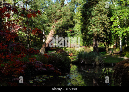 Il fogliame autunnale sul display in exbury gardens new forest Inghilterra Regno Unito Foto Stock