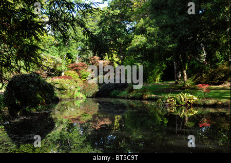 Il fogliame autunnale sul display in exbury gardens new forest Inghilterra Regno Unito Foto Stock