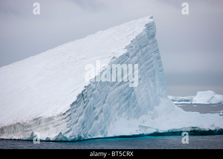 Iceberg galleggianti vicino Paulet Island, penisola antartica. Foto Stock