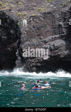 Isole Galapagos, Ecuador. Lo snorkeling a Vincente Roca punto su Isla Isabela (isabela Island). Foto Stock