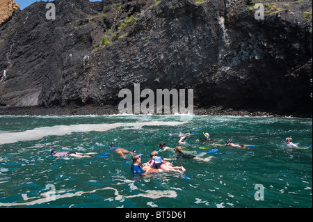 Isole Galapagos, Ecuador. Lo snorkeling a Vincente Roca punto su Isla Isabela (isabela Island). Foto Stock