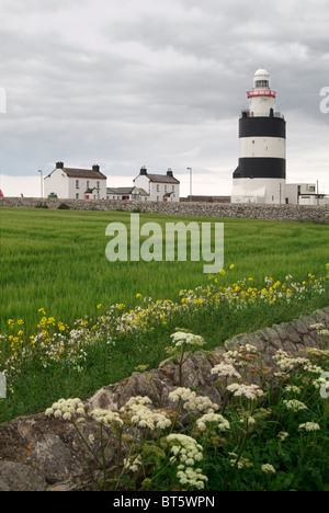 Hook Head Lighthouse County Wexford in Irlanda eire architettura, nero, blu, edificio, instabile, costa, freddo, County, Eire, europa Foto Stock