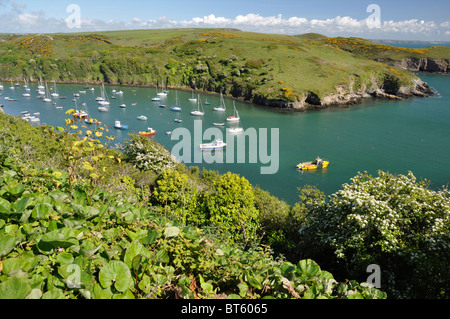 Barche nel porto di Solva, Pembrokeshire, Wales, Regno Unito Foto Stock