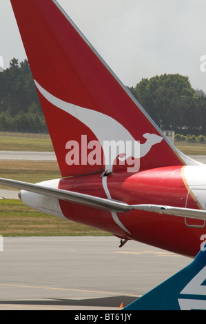 Compagnia australiana di coda insegne logo kangaroo 330, 737, 767, a330, aria, Airbus, aeromobili, aereo di linea, aereo, aeroporto, grembiule, un Foto Stock