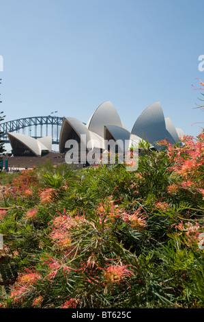 La Sydney Opera House e multi-sede performing arts center città australiana Sydney architetto danese Jørn Utzon, il Pritzker Prize, archit Foto Stock