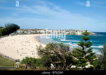 Bondi Beach Sydney Australia aussie surf surfer wave blue sea board a piedi grandi muta giornata soleggiata cielo blu bagni di sole sabbia Foto Stock