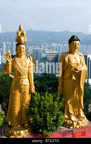 Diecimila Buddha tempio pagoda 10000 10 000 Monastero uomo grasso Tsz Sha Tin, Hong Kong. 220 Pai Tau Villaggio Siddhārtha Gautama Foto Stock