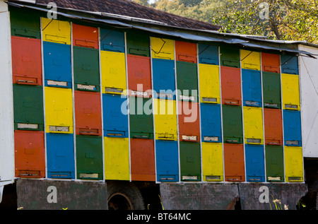 Ape Mobile- alveari sul rimorchio nel vecchio villaggio sassone di Crit, Transilvania, Romania Foto Stock