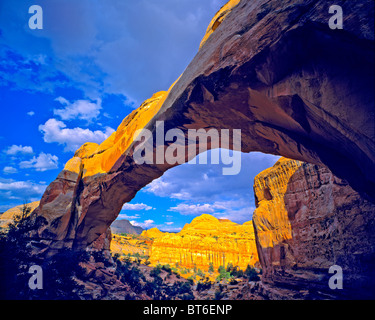 Hickman ponte naturale, Capitol Reef National Park nello Utah, Fremont River, Waterpocket Fold Foto Stock