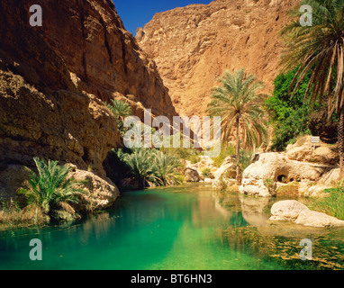 Piscina verde a Wadi Fusc, Sultanato di Oman, canyon in Oman il deserto della montagna, acqua colorata da molle di calcare, palme da dattero Foto Stock