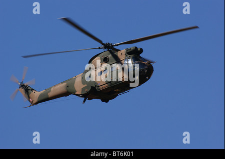 Puma elicottero militare Foto Stock