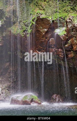 Cascata in Caldeirao Verde, Madeira, Portogallo Foto Stock