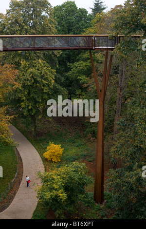 Xstrata Treetop Walkway a Kew Gardens, Londra Foto Stock