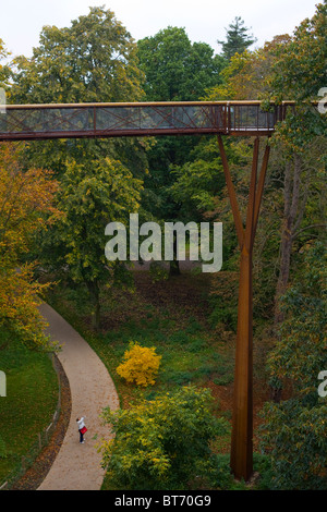 Xstrata Treetop Walkway a Kew Gardens, Londra Foto Stock