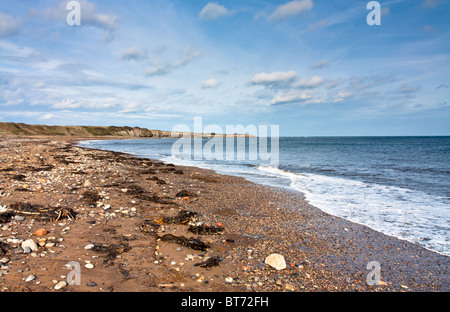 Lynemouth Power Station sulla costa nord est di Northumberland. Foto Stock