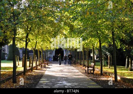 Approccio alla Chiesa della Santa Trinità, Stratford-upon-Avon, Warwickshire, Inghilterra, Regno Unito Foto Stock