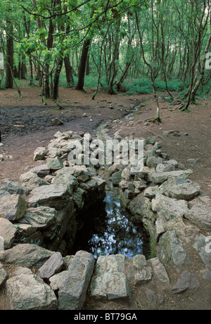 Francia, Bretagna Ille et Vilaine, Paimpont forest, Broceliande, fontana di Barenton Foto Stock