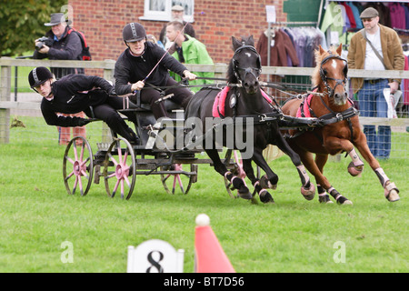 Lucy Scott Scurry Guida a Hertfordshire Game Fair 2010 Foto Stock