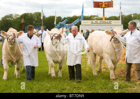 Comunità rurale uk Farm show .Angus Scozia. Foto Stock