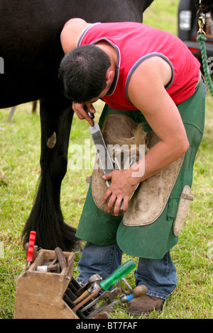 Farro che tacchette un cavallo all'Angus Farm mostra comunità rurale Scozia Regno Unito Foto Stock