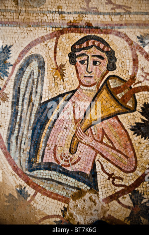 Dettaglio dal pavimento a mosaico del VIII secolo la chiesa di Santo Stefano a Umm al-Rasas, Giordania. Foto Stock