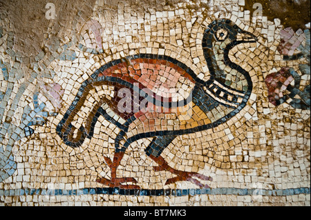 Dettaglio dal pavimento a mosaico del VIII secolo la chiesa di Santo Stefano a Umm al-Rasas, Giordania. Foto Stock