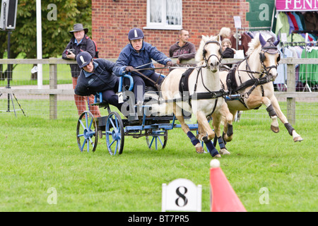 Karen Morris Scurry Guida a Hertfordshire Game Fair 2010 Foto Stock