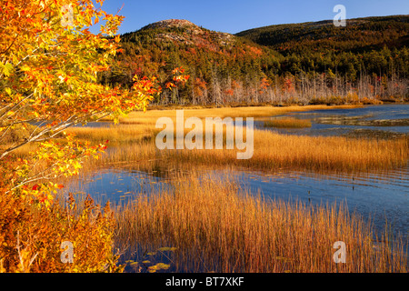 Colori dell'autunno in alto a Hadlock stagno nel Parco Nazionale di Acadia, Maine, Stati Uniti d'America Foto Stock