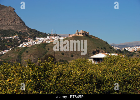 Città e del castello con alberi di limone in primo piano, Alora, provincia di Malaga, Andalusia, Spagna, Europa occidentale. Foto Stock