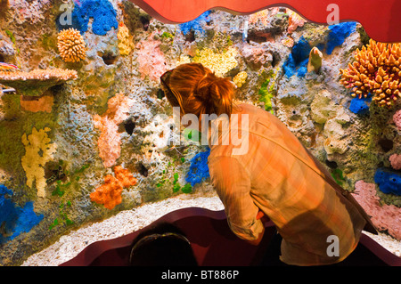 Ragazza di corallo di visualizzazione mostra a Monterey Bay Aquarium, Monterey, California Foto Stock