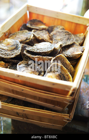 Scatole di colchester native ostriche appena catturati e pronti per il mercato del pesce Foto Stock