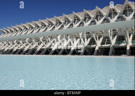 Il Museo della Scienza, Valencia Spagna La Ciudad de las Artes y de las Ciencias de Valencia Foto Stock