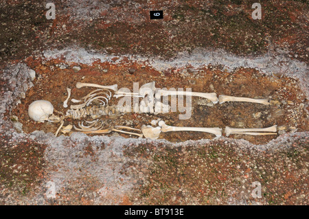 Scheletro in Palazzo Romano di Fishbourne. Foto Stock