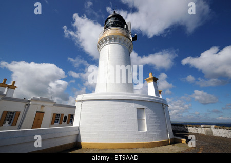 Noss Capo Faro (vicino a Wick), Caithness in Scozia Foto Stock