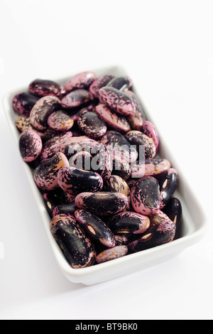 Runner Fagioli (Phaseolus coccineus) Foto Stock