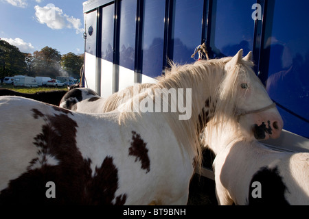 Per più di cinquecento anni di persone sono scese sulla Stow-su-il-Wold per la raccolta degli zingari del Stow Fiera Cavalli. DAVID MANSELL Foto Stock