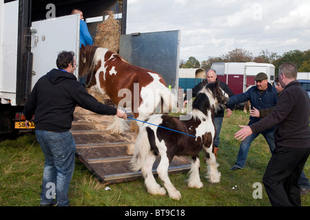 Allevatore di cavalli Abramo Rogers e i suoi colleghi di incoraggiare il giovane puledro di seguire la madre a Stow Fiera Cavalli. DAVID MANSELL Foto Stock